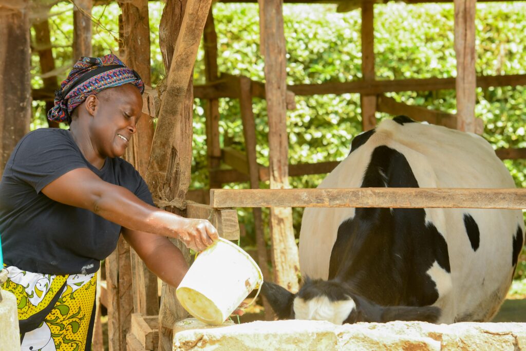 Eunice in Kenya used her loan to purchase dairy cows chickens cereals farm inputs and farming equipment scaled